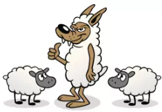A wolf in sheep’s clothing - A dangerous person who looks unharmful or pretends to be friendly