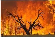 Like wild fire - Very quickly
