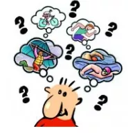 Have a finger in every pie - To be involved in many different activities