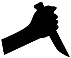 A cold blooded murder - An intentional, deliberate or pre-meditated murder