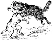 Fight tooth and nail - Fight fiercely