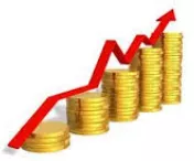 Loaves and fish - Materialistic gains