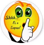 Take people by storm - To surprise unexpectedly