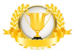 To make one’s mark - To achieve distinction