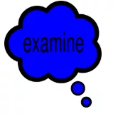 Look into - To examine