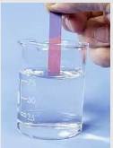 Memory trick for Litmus test