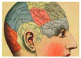 Memory trick for Highbrow