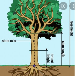 Memory trick for Stem from