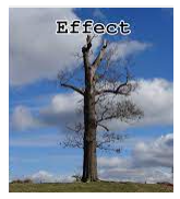 Memory trick for Ineffectual