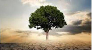 Memory trick for Thriving