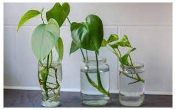 Memory trick for Propagation