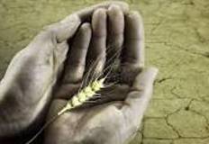 Memory trick for Starve