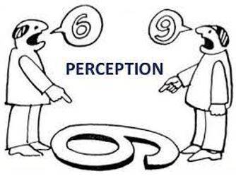 Memory trick for Perceives
