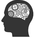 Cognitive - Relating to cognition/knowledge.