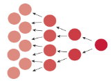 Proliferation - Rapid increase in the number or amount of something.