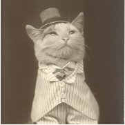 Sophisticated - In a well organized and highly developed manner/ developed to a high degree of complexity.