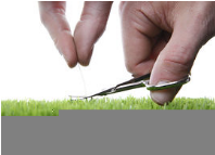 Meticulous - Showing great attention to detail; very careful and precise.