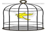 Captivity - The condition of being imprisoned or confined.
