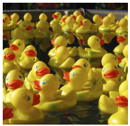 Plethora - A large or excessive amount of something/ an excess of