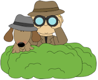 Cloak  - Hide, cover, or disguise (something).