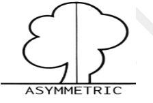 Asymmetry - Lack of equality or equivalence between parts or aspects of something
