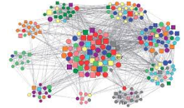 Agglomeration  - A mass or collection of things; an assemblage.