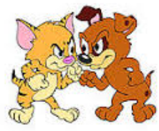 Squabble  - Minor fight or argument