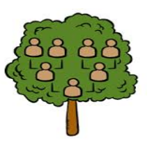 Lineage  - Direct descent from an ancestor.