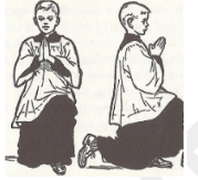 Genuflect  - Literally - Lower one's body briefly by bending one knee to the ground, typically in worship or as a sign of respect. Metaphorically - show deference or servility.