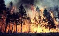 Catastrophic  - Involving or causing sudden great damage or suffering