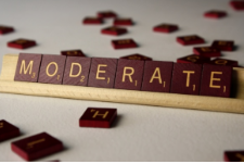 Moderates  - A person who holds not an extreme views
