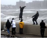 Foolhardy  - Recklessly bold or rash./ making hasty decisions without regard to danger or possible consequences.