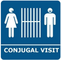 Conjugal  - Relating to marriage