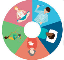 Holistically  - Emphasizing the importance of the whole and the interdependence of its parts
