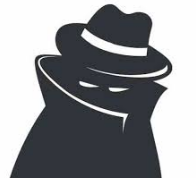 Cloak  - Something serving to hide or disguise something.