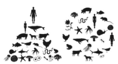 Anthropocentric - Regarding humankind as the central or most important element of existence