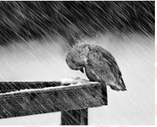 Hardship  - Something that causes or entails suffering or privation