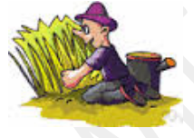 Subsistence  - The action or fact of maintaining or supporting oneself, especially at a minimal level.