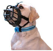 Muzzle  - ): Prevent (a person or group) from expressing their opinions freely.