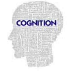 Cognitive - relating to cognition/knowledge.