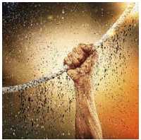 Grit  - Courage and resolve; strength of character.