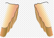 Chasm  - (A large difference of opinion/ a profound difference between people, viewpoints, feelings, etc.)