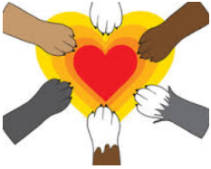 Affinity  - A natural liking for and understanding of someone or something.