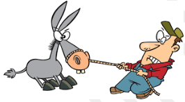 Obstinacy  - The quality or condition of being stubborn.