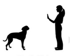 Injunction  - (An authoritative warning or order.)