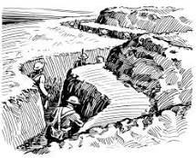 Entrench  - (Establish (someone) in a position of great strength or security.)