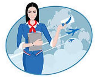 Steward - One who actively directs affairs