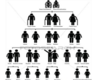 Descendant  - Descending from a biological ancestor