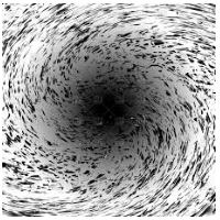 Maelstrom  - (A situation or state of confused movement or violent turmoil.)