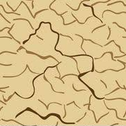 Desiccate  - (Lacking interest, passion, or energy/ remove the moisture from (something))